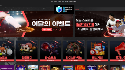 터틀 (TURTLE)